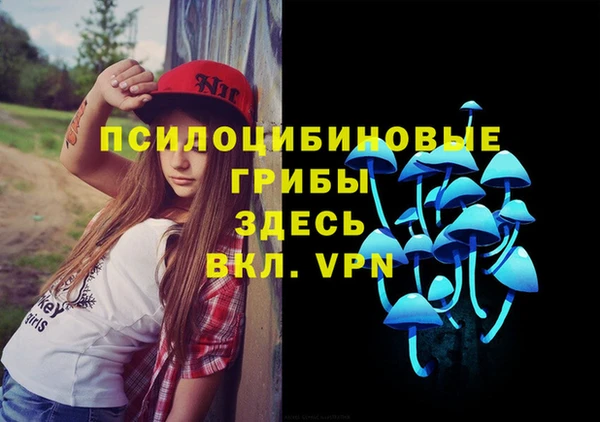 ГАЛЛЮЦИНОГЕННЫЕ ГРИБЫ Сафоново